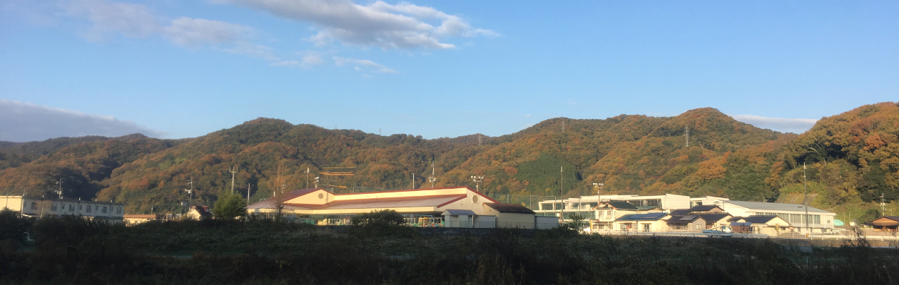 里山の紅葉。全山、メガソーラー建設計画地です。